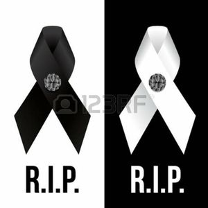 Meet your Posher, Mark a.